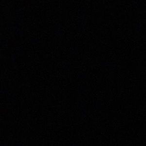 Meet your Posher, Bella